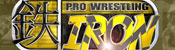 Pro Wrestling Iron